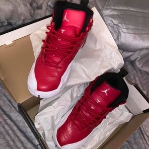 Jordan retro 12